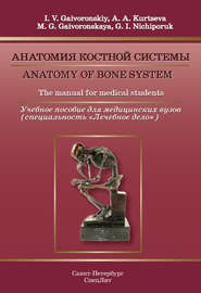 Anatomy of bone system. The manual for medical students \/ Анатомия костной системы. Учебное пособие для медицинских вузов