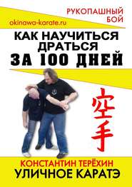 Уличное каратэ. Как научиться драться за 100 дней