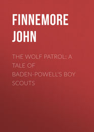 The Wolf Patrol: A Tale of Baden-Powell\'s Boy Scouts