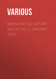 Birds and All Nature Vol VII, No. 1, January 1900