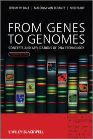 From Genes to Genomes