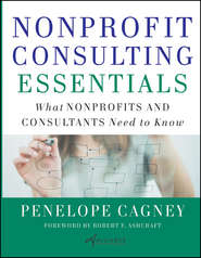 Nonprofit Consulting Essentials