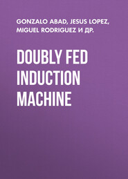 Doubly Fed Induction Machine