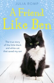 A Friend Like Ben: The true story of the little black and white cat that saved my son