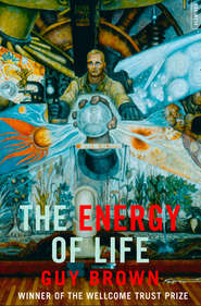 The Energy of Life: