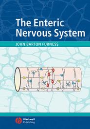 The Enteric Nervous System