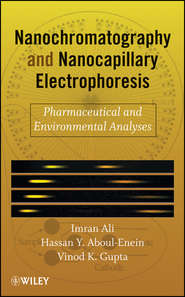 Nanochromatography and Nanocapillary Electrophoresis