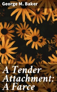 A Tender Attachment: A Farce