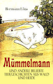 Mümmelmann und andere beliebte Tiergeschichten aus Wald und Heide