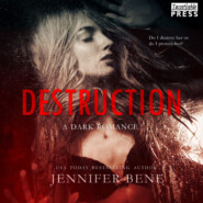 Destruction - A Dark Romance - Fragile Ties, Book 1 (Unabridged)