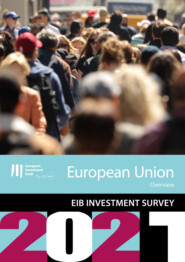 EIB Investment Survey 2021 - European Union overview