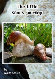 The little snails journey