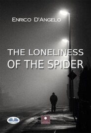 THE LONELINESS OF THE SPIDER