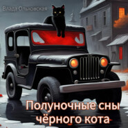 Полуночные сны чёрного кота