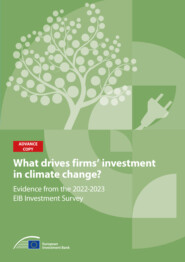 What drives firms\' investment in climate action?