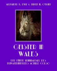Geister in Wales