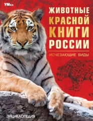 Животные Красной книги России. Исчезающие виды