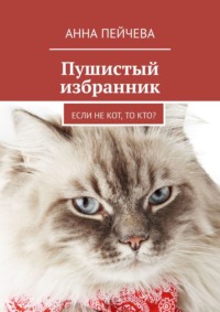 Кот на стеклянном столе