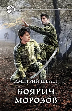 Боярич Морозов читать онлайн бесплатно