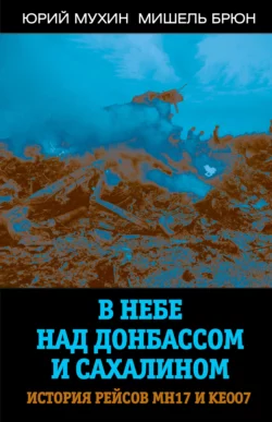 В небе над Донбассом и Сахалином. История рейсов МН17 и КЕ007 читать онлайн бесплатно