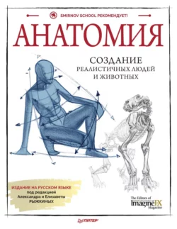 Анатомия. Создание реалистичных людей и животных (+ мастер-классы по QR-коду) читать онлайн бесплатно