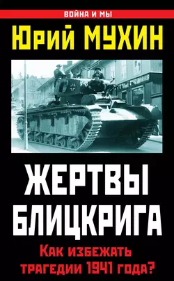Жертвы Блицкрига. Как избежать трагедии 1941 года? читать онлайн бесплатно