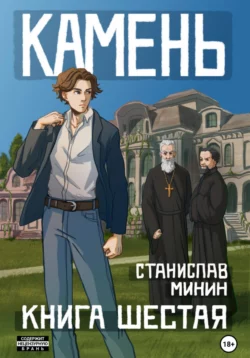 Камень. Книга шестая читать онлайн бесплатно