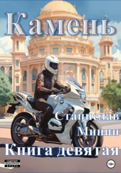 Камень. Книга девятая читать онлайн бесплатно