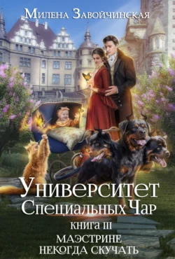 Университет Специальных Чар. Книга 3. Маэстрине некогда скучать читать онлайн бесплатно