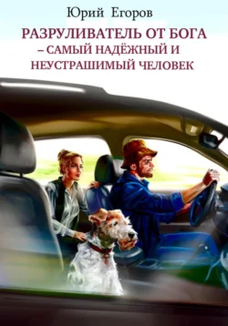 Разруливатель от Бога – cамый надёжный и неустрашимый человек читать онлайн бесплатно