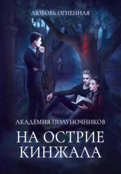 Академия Полуночников 2. На острие кинжала читать онлайн бесплатно