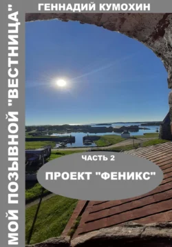 Мой позывной «Вестница». Часть 2. Проект «Феникс» читать онлайн бесплатно
