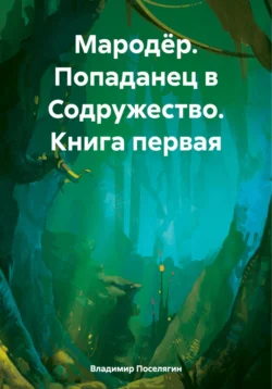 Мародёр. Попаданец в Содружество. Книга первая читать онлайн бесплатно