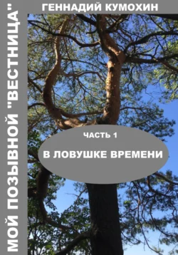 Мой позывной «Вестница». Часть 1. В ловушке времени читать онлайн бесплатно