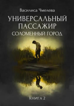 Универсальный пассажир. Книга 2. Соломенный город читать онлайн бесплатно