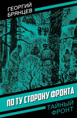 По ту сторону фронта читать онлайн бесплатно
