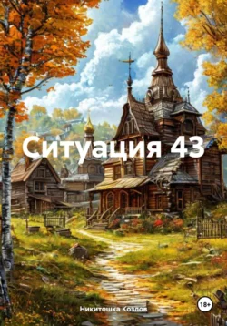 Ситуация 43 читать онлайн бесплатно