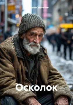 Осколок читать онлайн бесплатно