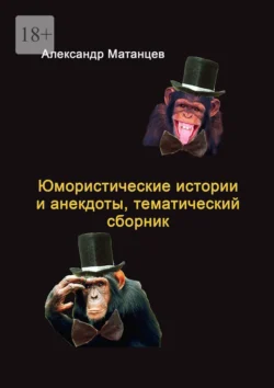 Юмористические истории и анекдоты, тематический сборник читать онлайн бесплатно