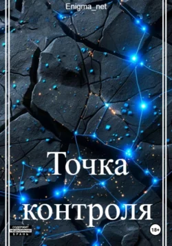 Точка контроля читать онлайн бесплатно