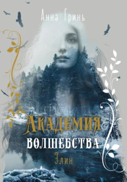 Академия волшебства. Элин читать онлайн бесплатно