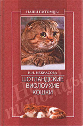 Уретростомия у котов - ветцентр Прайд, Санкт-Петербург