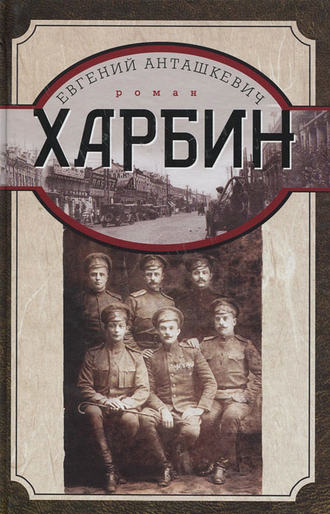 Хроника одного полка 1915 год