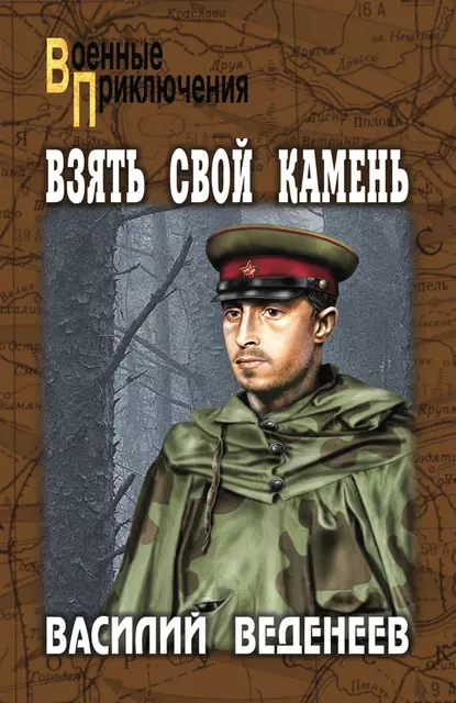 Обложка книги Взять свой камень, Василий Веденеев