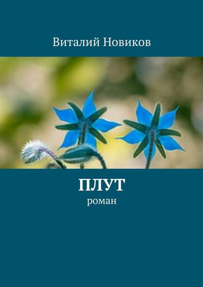 Виталий Новиков — Плут. роман