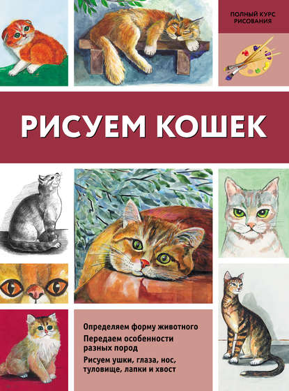 Нина Щербакова - Рисуем кошек