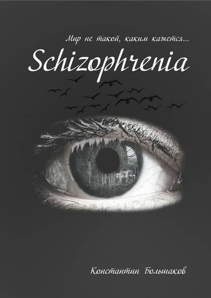 Константин Большаков — Schizophrenia. Мир не такой, каким кажется