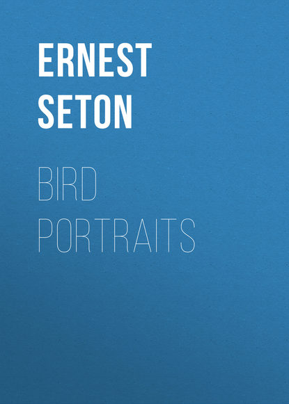 Эрнест Сетон-Томпсон — Bird Portraits