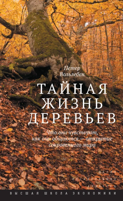 Обложка книги Тайная жизнь деревьев. Что они чувствуют, как они общаются – открытие сокровенного мира, Петер Вольлебен