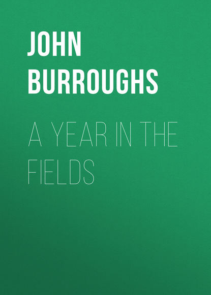 John Burroughs — A Year in the Fields